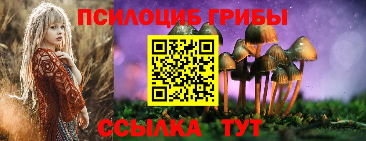 Псилоцибиновые грибы ЛСД  Галлюциногенные грибы прущие грибы  Учалы  Вход с VPN 